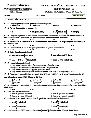 Đề kiểm tra giữa kì 1 môn Toán Lớp 11 - Mã đề 132 - Năm học 2022-2023 - Trường THPT Nguyễn Dục (Có đáp án)