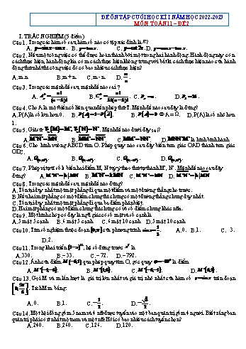 Đề ôn tập cuối học kì 1 môn Toán Lớp 11 - Đề 2 - Năm học 2022-2023