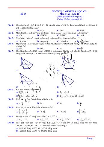 Đề ôn tập kiểm tra học kì 1 môn Toán Lớp 11 - Đề 17 (Có lời giải chi tiết)