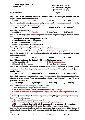 Đề thi học kì 2 môn Vật lí Lớp 11 - Đề 2 - Năm học 2022-2023 (Có đáp án)