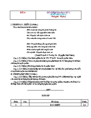 Đề kiểm tra học kì 1 Ngữ văn Lớp 11 - Đề 14 (Có hướng dẫn chấm)