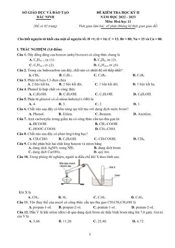 Đề kiểm tra học kì 2 Hóa học Lớp 11 - Năm học 2022-2023 - Sở GD&ĐT Bắc Ninh (Có hướng dẫn chấm)