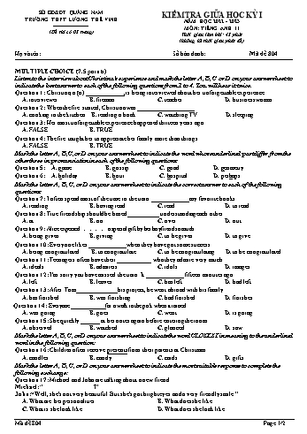 Kiểm tra giữa học kì 1 Tiếng Anh Lớp 11 - Mã đề 804 - Năm học 2022-2023 - Trường THPT Lương Thế Vinh