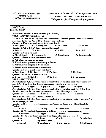 Kiểm tra cuối học kì 1 Tiếng Anh Lớp 11 (Thí điểm) - Mã đề 501 - Năm học 2022-2023 - Trường THPT Hồ Nghinh (Có đáp án)