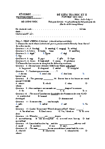 Đề kiểm tra học kì 2 Tiếng Anh Lớp 11 - Đề 5 - Năm học 2022-2023 (Có đáp án)