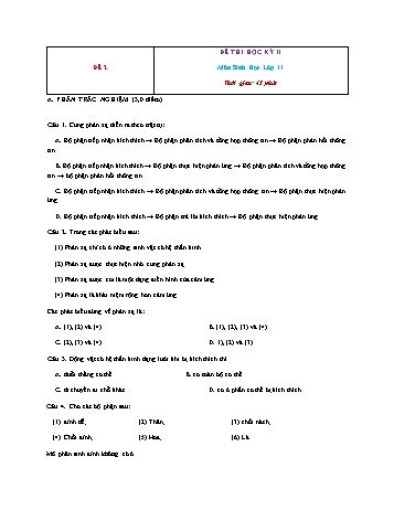 Đề thi học kì 2 Sinh học Lớp 11 - Đề 2 (Có đáp án)