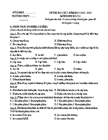 Đề thi học kì 2 Sinh học Lớp 11 - Đề 2 - Năm học 2021-2022 (Có đáp án)