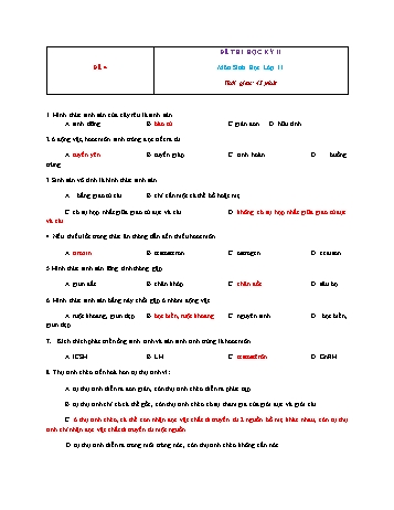 Đề thi học kì 2 Sinh học Lớp 11 - Đề 4 (Có đáp án)