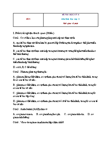 Đề thi học kì 2 Sinh học Lớp 11 - Đề 9 (Có đáp án)