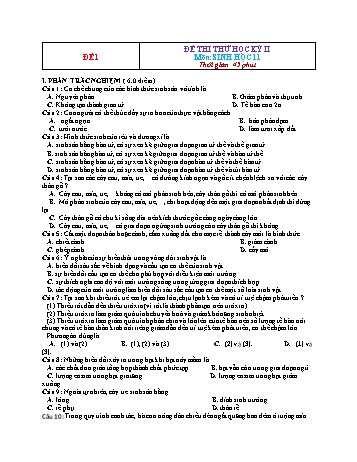 Đề thi thử học kì 2 Sinh học Lớp 11 - Đề 1 (Có đáp án)