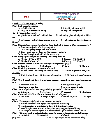 Đề thi thử học kì 2 Sinh học Lớp 11 - Đề 2 (Có đáp án)