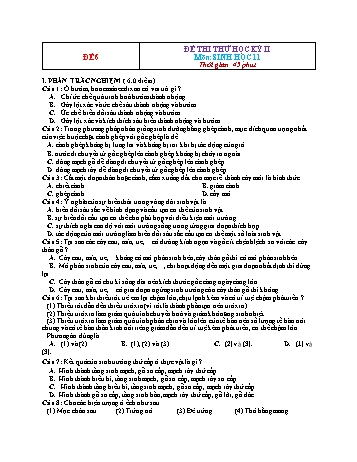 Đề thi thử học kì 2 Sinh học Lớp 11 - Đề 6 (Có đáp án)