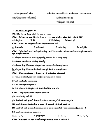 Đề kiểm tra giữa kì 1 Sinh học Lớp 11 - Năm học 2022-2023 - Trường THPT Trần Phú (Có đáp án)