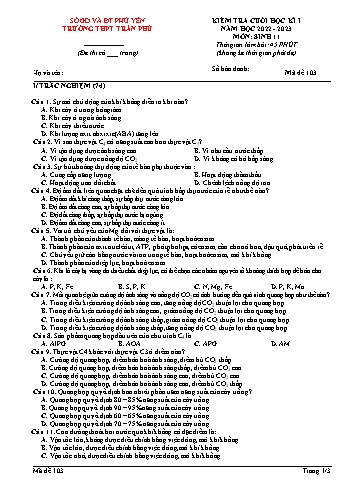 Kiểm tra cuối học kì 1 Sinh học Lớp 11 - Mã đề 103 - Năm học 2022-2023 - Trường THPT Trần Phú (Có đáp án)