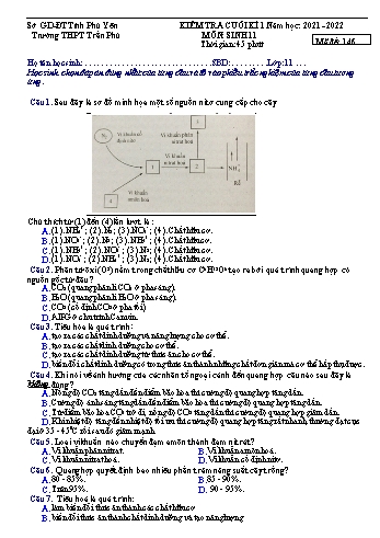Kiểm tra cuối kì 1 Sinh học Lớp 11 - Năm học 2021-2022 - Trường THPT Trần Phú (Có đáp án)