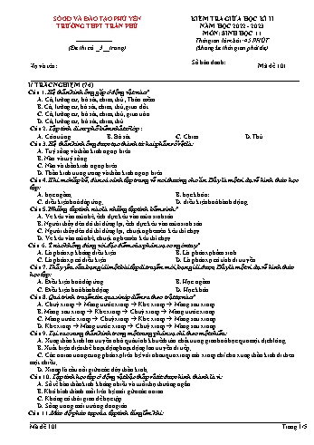 Kiểm tra giữa học kì 2 Sinh học Lớp 11 - Mã đề 101 - Năm học 2022-2023 - Trường THPT Trần Phú (Có đáp án)